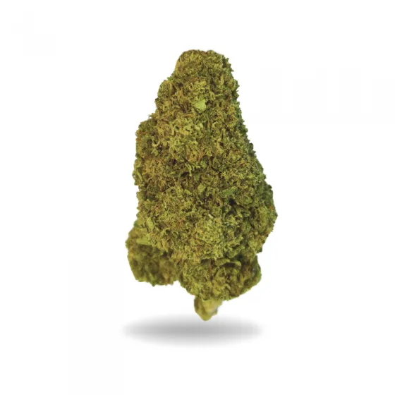OG WHITE CBD
