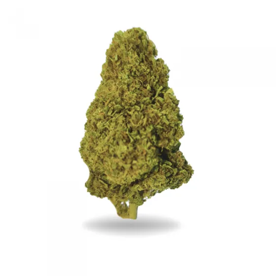OG WHITE CBD
