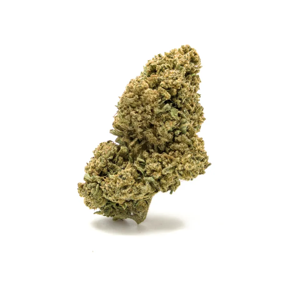 Banana CBD 13,02% – flor CBD Glass House, cogollo denso con tricomas Banana CBD 13,02% – flor CBD Glass House, cogollo denso con tricomas