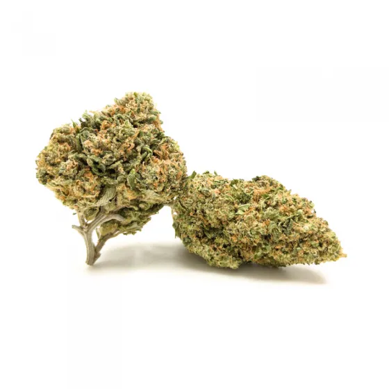 Gorilla Glue CBD cogollos CBD Green House, flores compactas y resinosas densos
