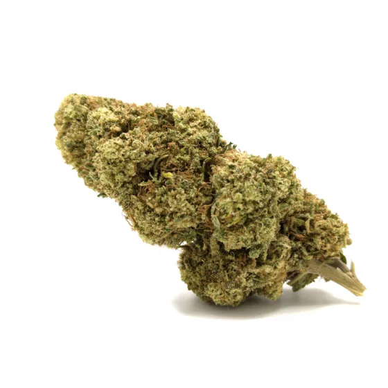 APPLE CIDER CBD