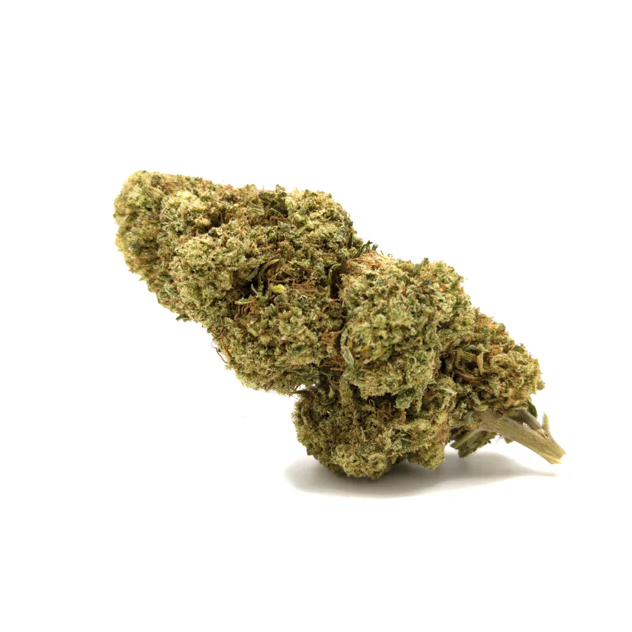Cogollo APPLE CIDER CBD 12% – flor CBD densa con tricomas visibles y aroma a manzana (invernadero)