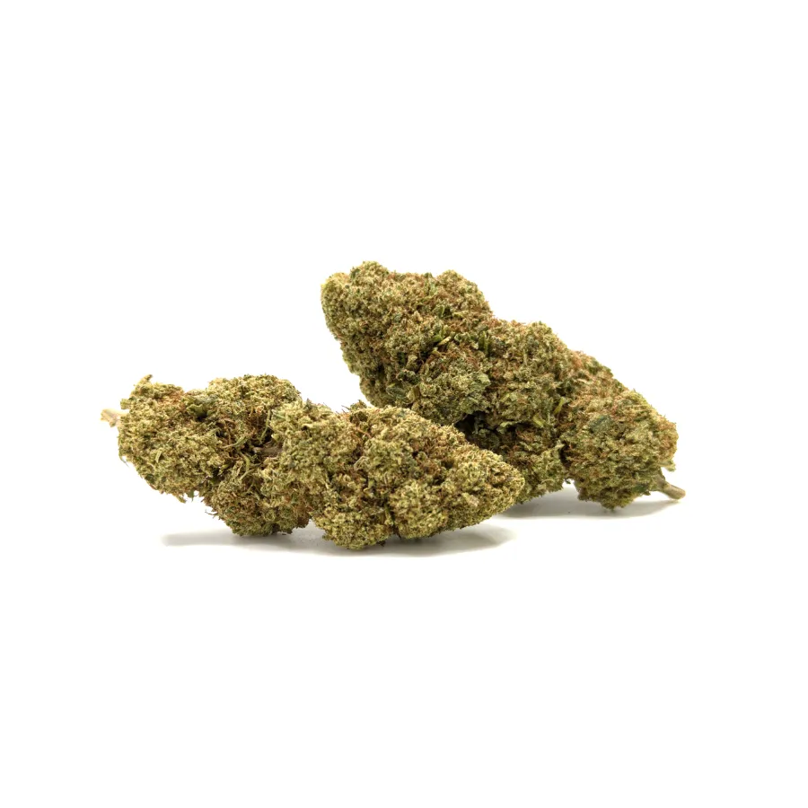 APPLE CIDER CBD 12% – tres cogollos CBD de invernadero, verdes lima y pistilos albaricoque