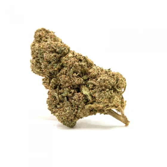 MANGO CBD
