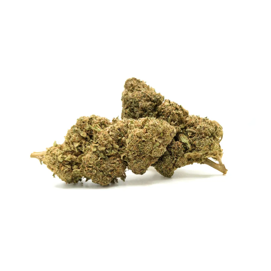 MANGO CBD 12,57% – tres cogollos CBD Glass House, perfil tropical a mango