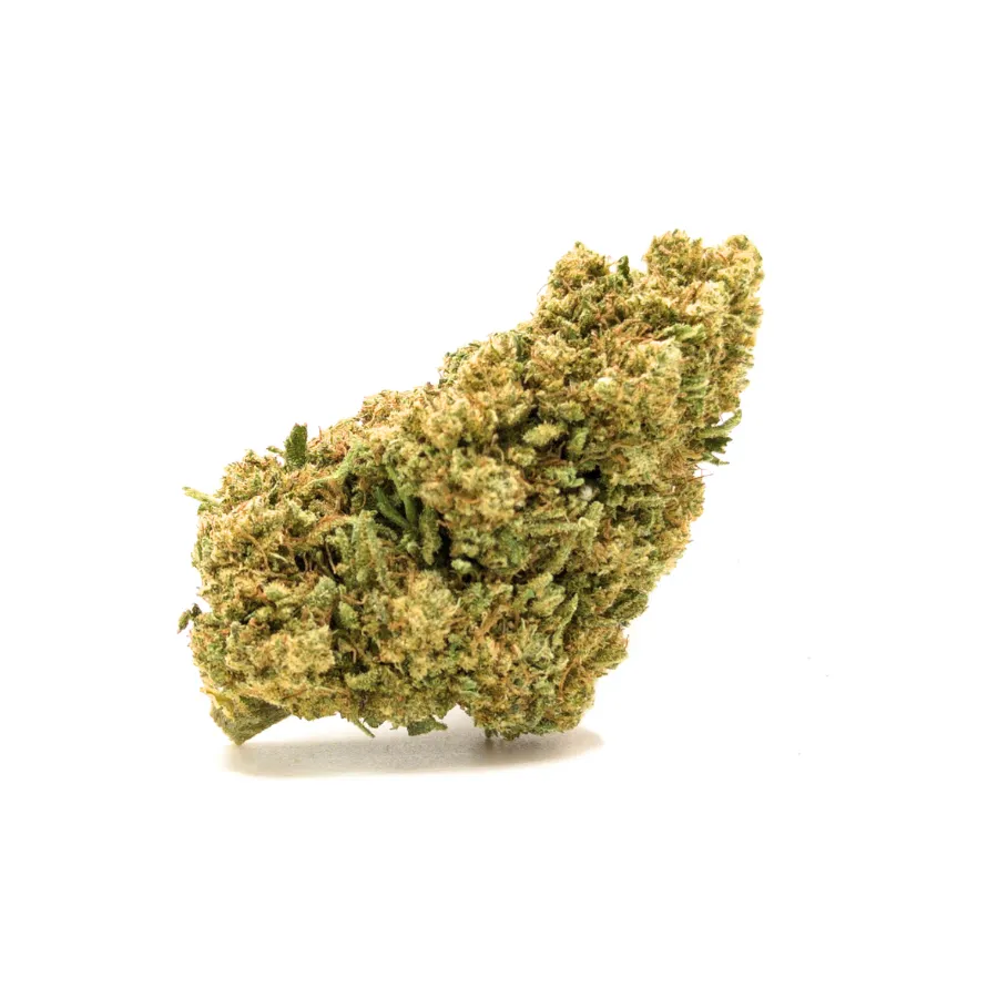 Cogollo WHITE WIDOW CBD – flor CBD densa con tricomas, verdes oliva y pistilos ámbar, perfil terroso-cítrico Cogollo WHITE WIDOW CBD – flor CBD densa con tricomas, verdes oliva y pistilos ámbar, perfil terroso-cítrico