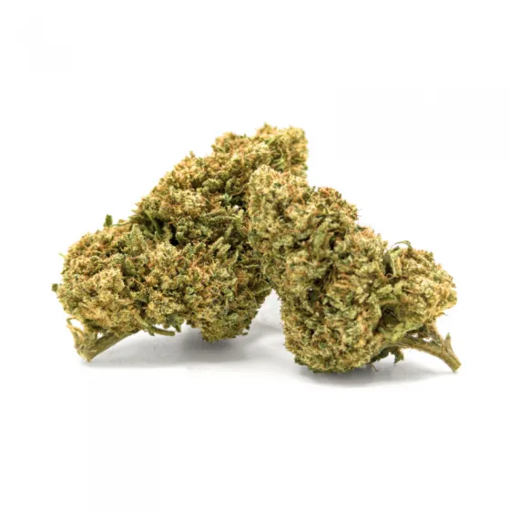 WHITE WIDOW CBD 12,88% – dos cogollos CBD de invernadero, aroma terroso con pino y ralladura de limón WHITE WIDOW CBD 12,88% – dos cogollos CBD de invernadero, aroma terroso con pino y ralladura de limón