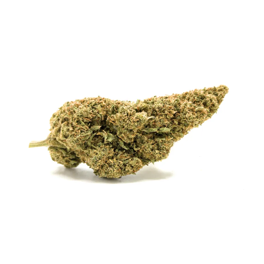 Cogollo LIMONCELLO CBD – flor CBD alargada con tricomas, aroma cítrico tipo limoncello Cogollo LIMONCELLO CBD – flor CBD alargada con tricomas, aroma cítrico tipo limoncello