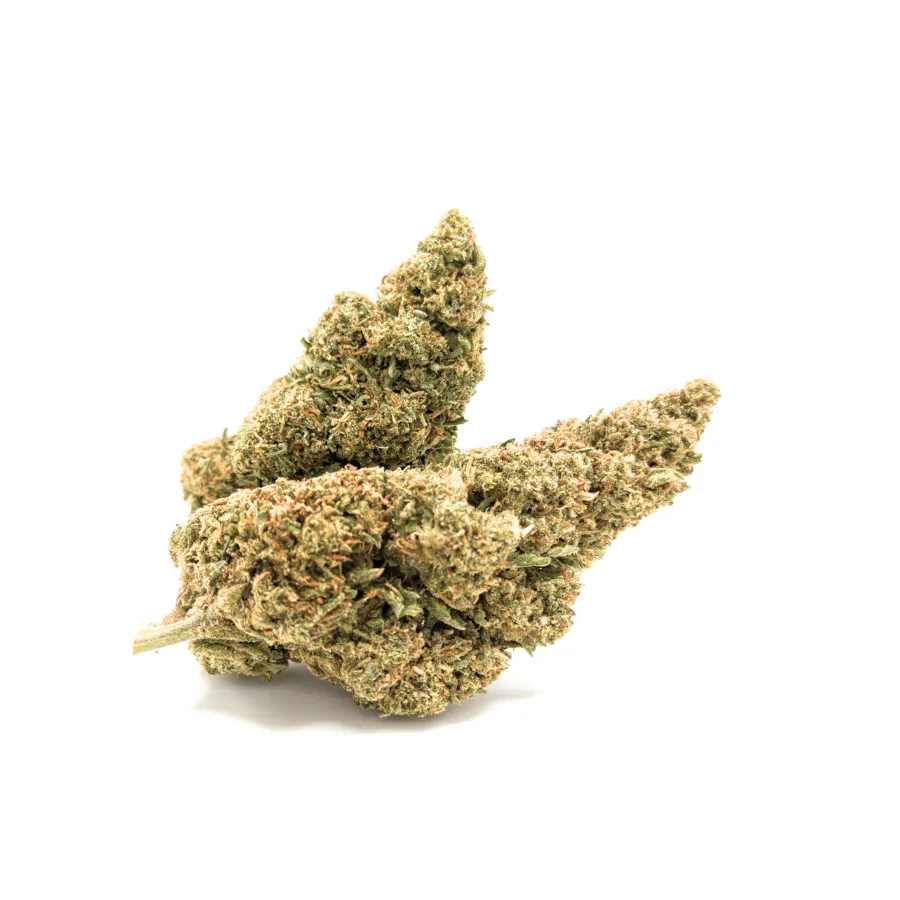 LIMONCELLO CBD 11,94% – dos cogollos CBD de invernadero, perfil cítrico a limón