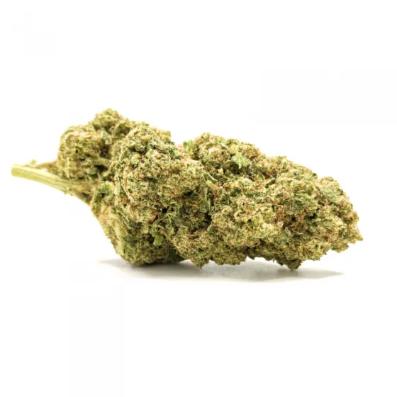 Cogollo RUNTZ CBD – flor CBD compacta, verdes oliva y pistilos ámbar, aroma goloso y cítrico Cogollo RUNTZ CBD – flor CBD compacta, verdes oliva y pistilos ámbar, aroma goloso y cítrico