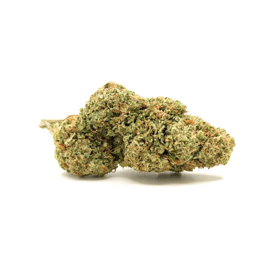Cogollo BUBBLEGUM CBD – flor CBD densa, perfil goloso a chicle y frutas, acabado resinoso