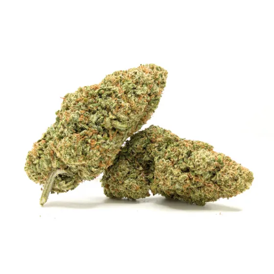 BUBBLEGUM CBD – dos cogollos CBD compactos, verdes con pistilos ámbar y tricomas visibles, aroma dulce tipo chicle
