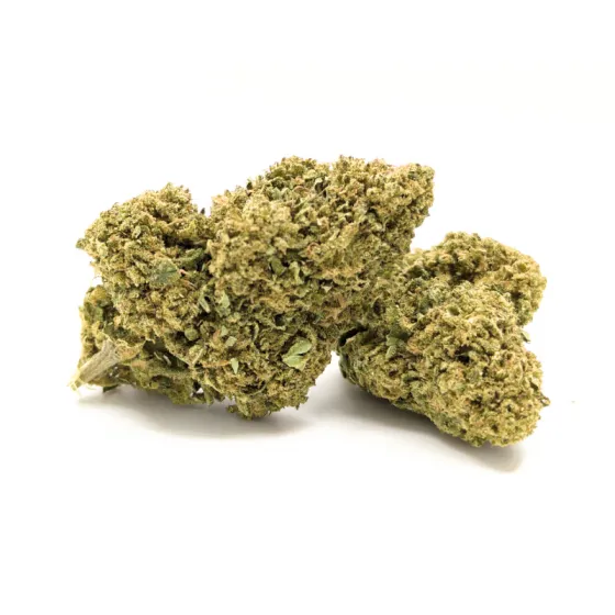Sugar Cream CBD en dos cogollos compactos con tonos verde oliva y pistilos anaranjados cultivo
