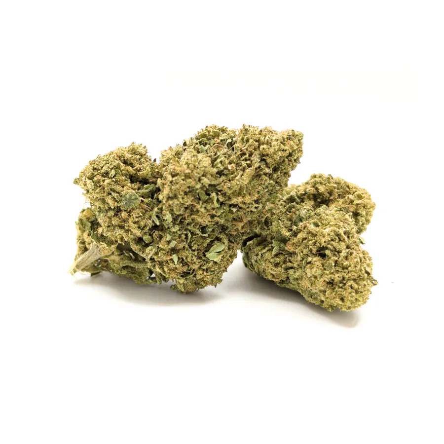 Sugar Cream CBD en dos cogollos compactos con tonos verde oliva y pistilos anaranjados cultivo