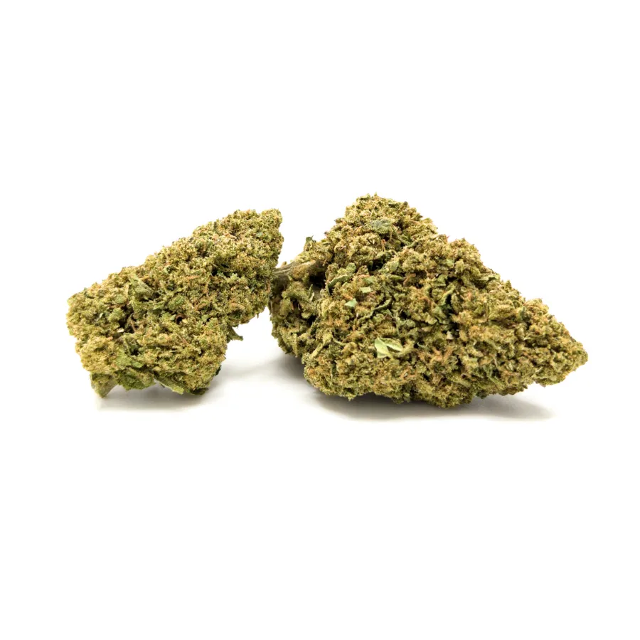 Sugar Cream CBD cogollos compactos con tonos verde oliva y pistilos anaranjados cultivo