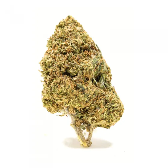 CHEESE CBD