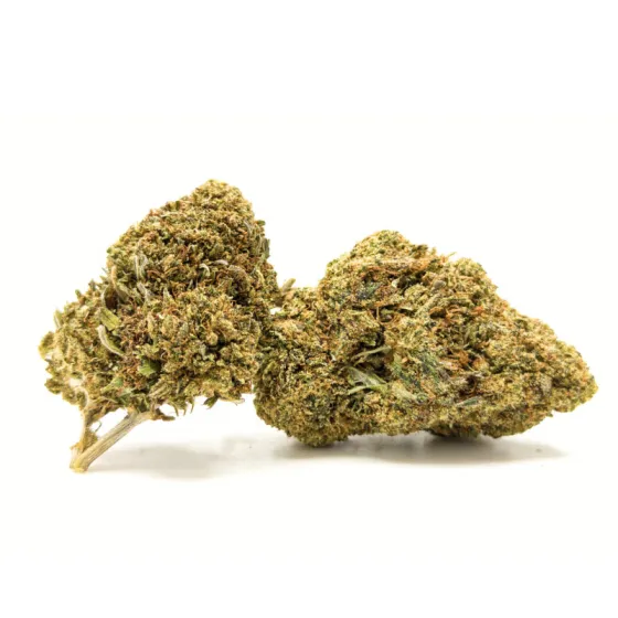 Cogollos de Cheese CBD 12% cultivo invernadero con aroma skunk y queso curado