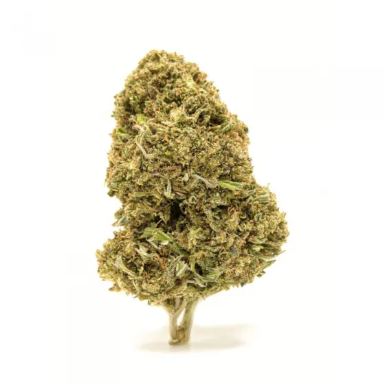 Flores Cheese CBD (marihuana CBD) greenhouse 12% CBD y apariencia verde claro