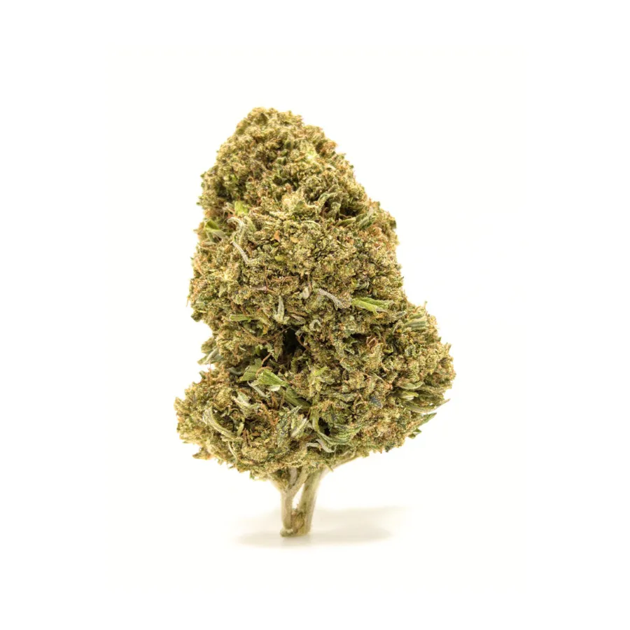 Flores Cheese CBD (marihuana CBD) greenhouse 12% CBD y apariencia verde claro