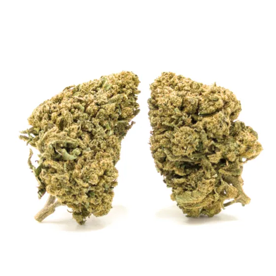 LEMON HAZE CBD SMALL BUDS
