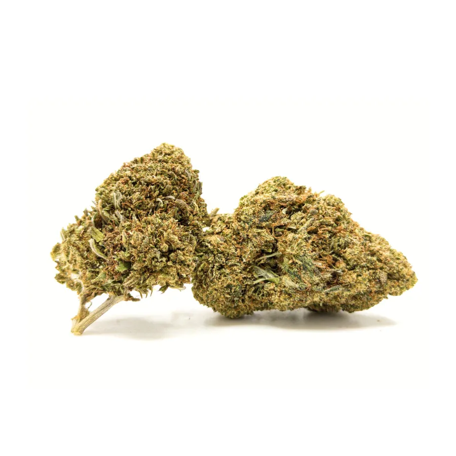 Cogollos pequeños Cheese CBD Small Buds con perfil Cheese intenso