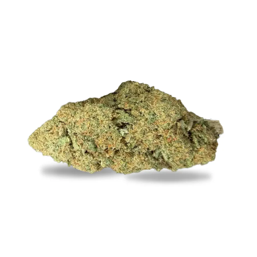 Cogollos de Girl Scout Cookies CBD 12,99% cultivo indoor con aroma a galleta y menta Cogollos de Girl Scout Cookies CBD 12,99% cultivo indoor con aroma a galleta y menta