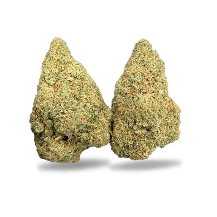 Flores CBD GSC indoor densas y resinosas – Girl Scout Cookies CBD