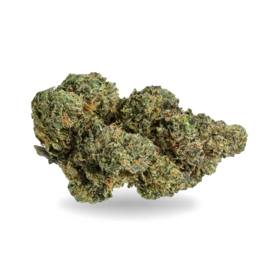 BISCOTTI CBD