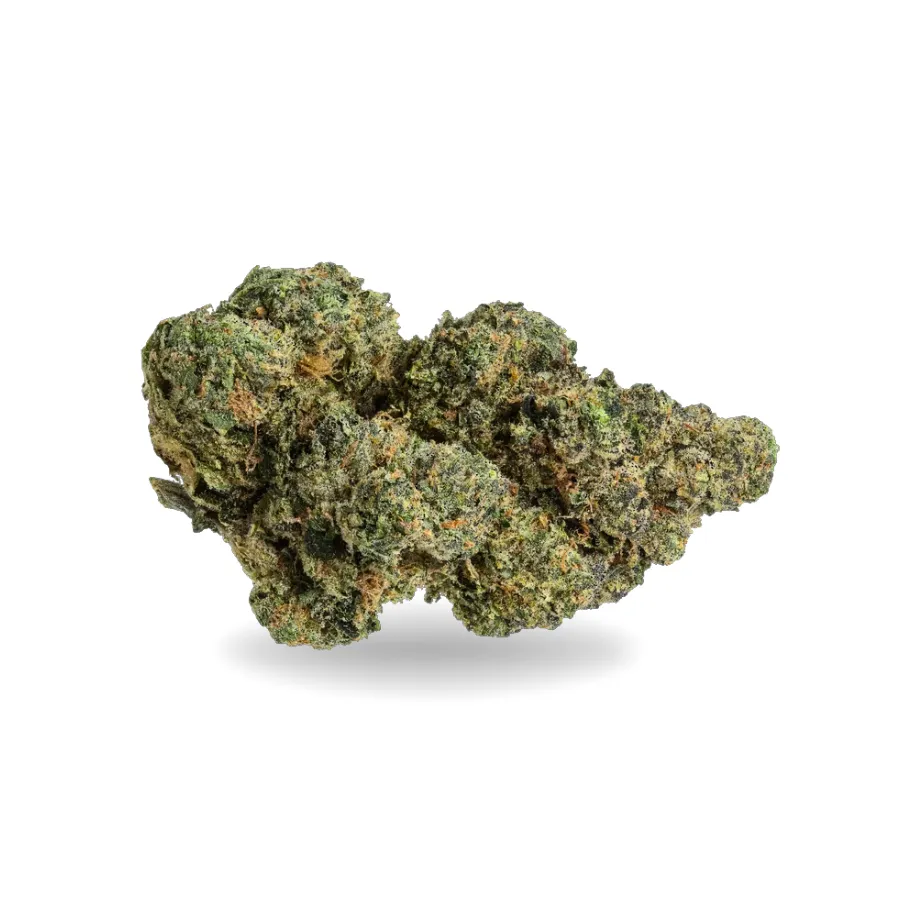 Cogollo de Biscotti CBD verde, compacto y cubierto de tricomas sobre fondo blanco. Cogollo de Biscotti CBD verde, compacto y cubierto de tricomas sobre fondo blanco.