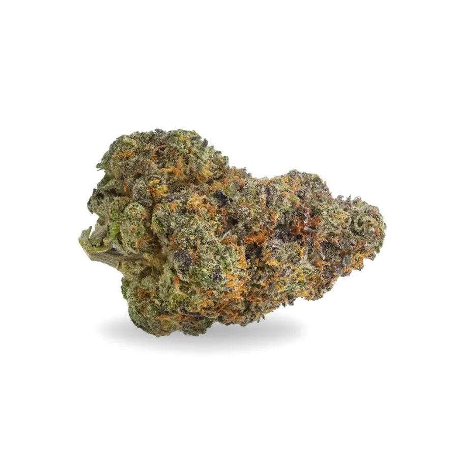 Cogollo de Orange Sherbert CBD verde con matices púrpura, pistilos anaranjados y abundantes tricomas Cogollo de Orange Sherbert CBD verde con matices púrpura, pistilos anaranjados y abundantes tricomas