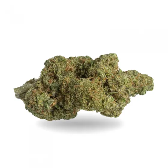 SOUR APPLE CBD