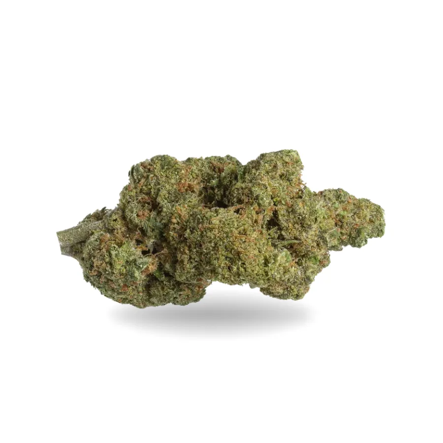 Cogollo de Sour Apple CBD verde, compacto, con pistilos anaranjados y abundantes tricomas Cogollo de Sour Apple CBD verde, compacto, con pistilos anaranjados y abundantes tricomas