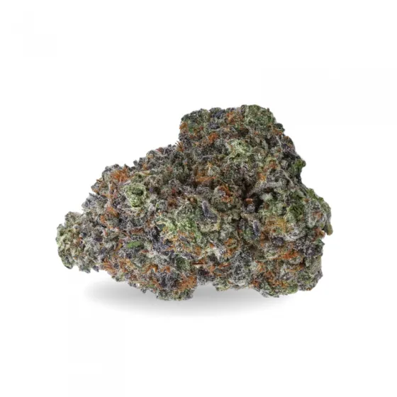 CALI GELATO CBD