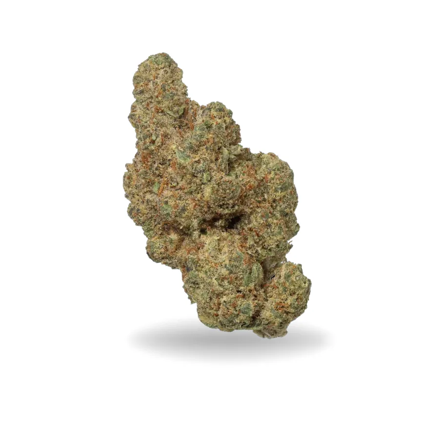 Cogollo de Mimosa CBD verde claro, compacto, con pistilos anaranjados y abundante cobertura de tricomas