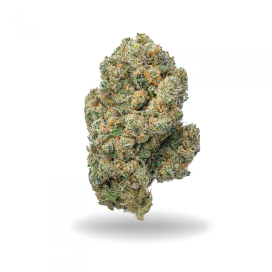 JACK HERER CBD