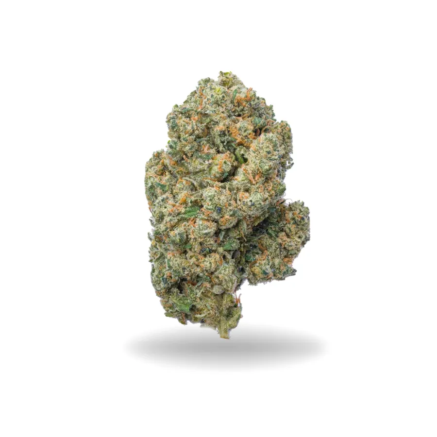 JACK HERER CBD