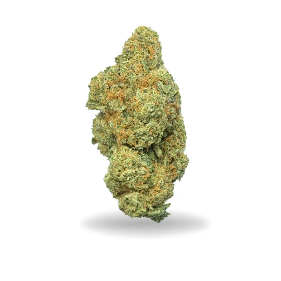 Cogollo de Lemon Diamond CBD verde, alargado y compacto, con pistilos anaranjados y abundante cobertura de tricomas. Cogollo de Lemon Diamond CBD verde, alargado y compacto, con pistilos anaranjados y abundante cobertura de tricomas.