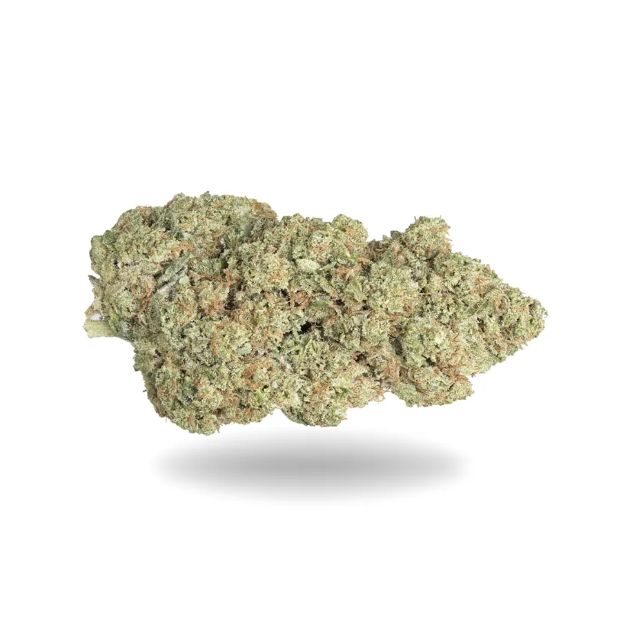 Cogollo de Alien Cookie CBD verde claro, compacto, con pistilos anaranjados y abundante cobertura de tricomas.