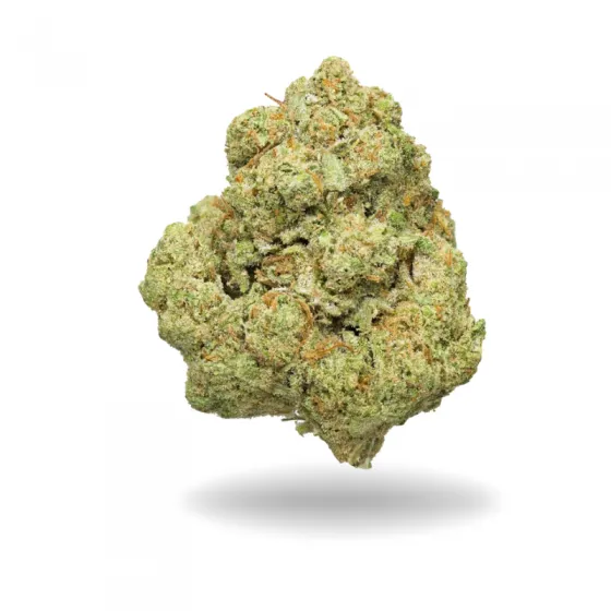 GODZILLA CBD MEDIUM BUDS