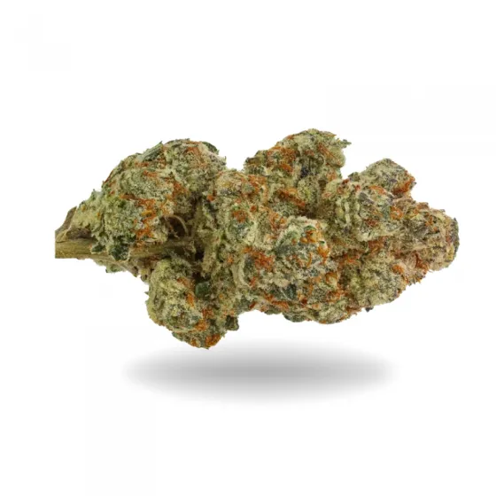 OG MINT CBD