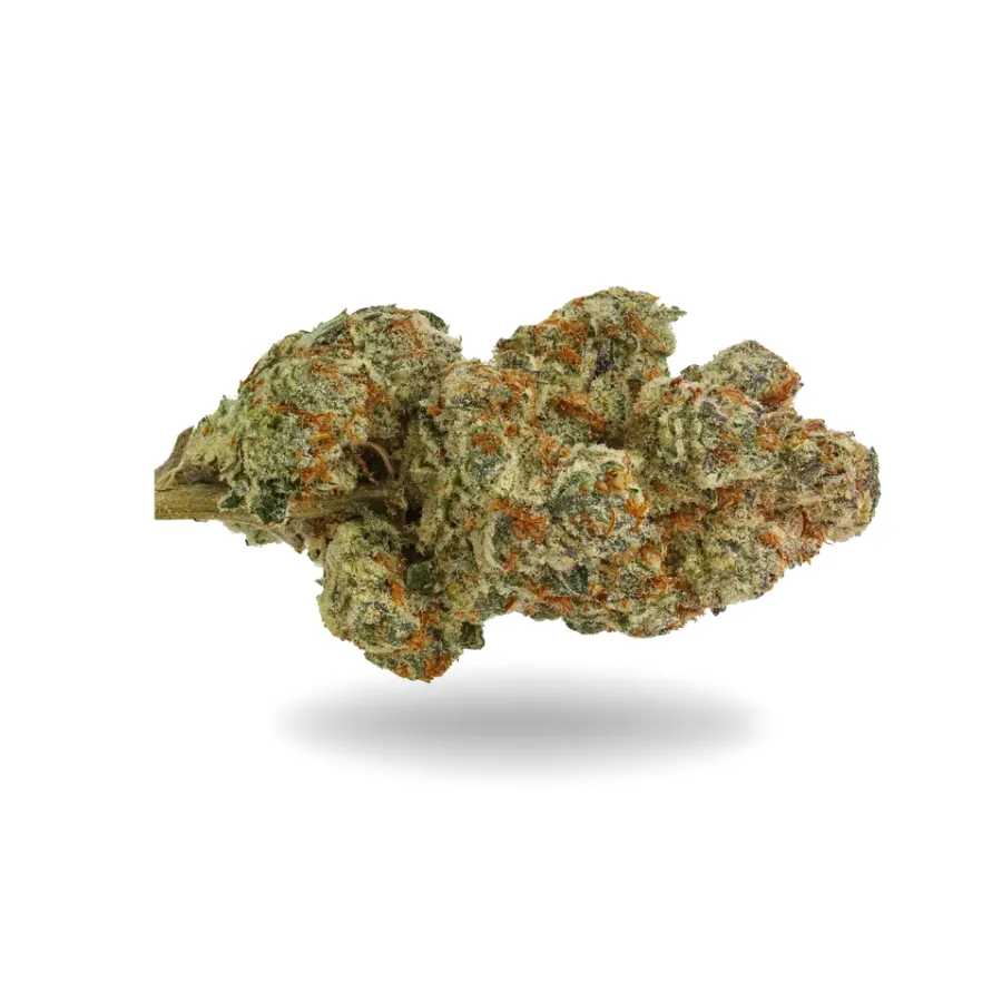 Cogollo de OG Mint CBD verde intenso rico en tricomas Cogollo de OG Mint CBD verde intenso rico en tricomas